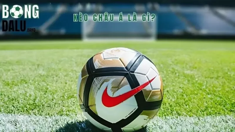 Giới thiệu sơ lược về thể loại kèo Châu Á